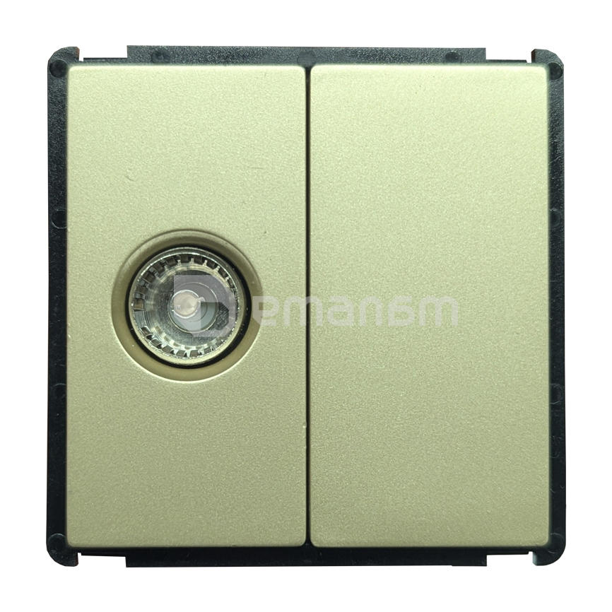 როზეტი Style Socket ერთ სექციური TV Female ოქროსფერი