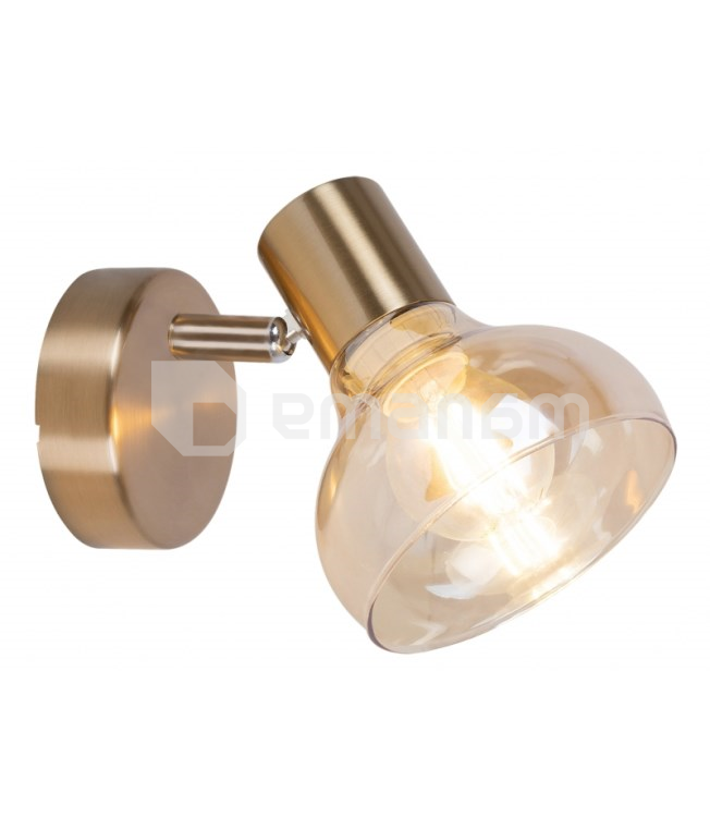 სანათი სპოტი Rabalux Holly 5546 1х 40W Е14