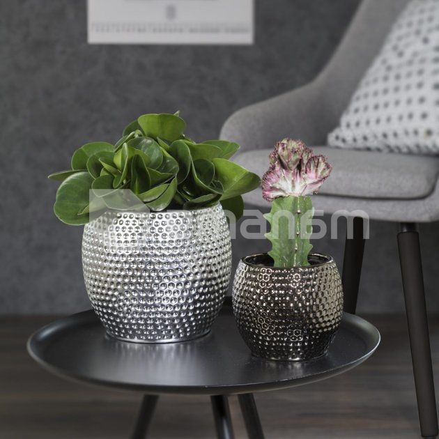 ქოთანი ყვავავილის კერამამიკული Scheurich TITANIUM SILVER15/732 UEBERTOEPFE