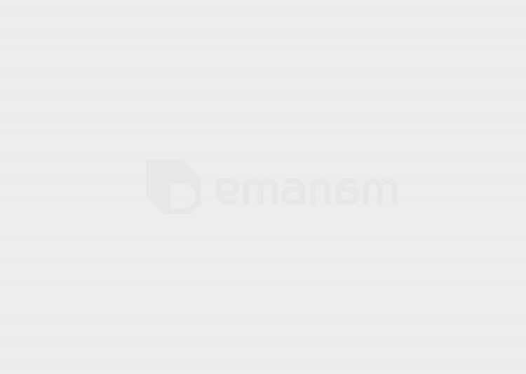 პანელი PVC VOX Profile Vilo D Ecoline White 25х300 сm