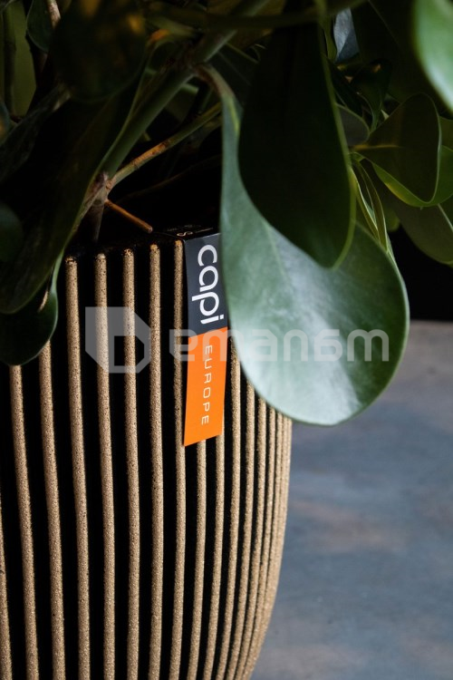 ქოთანი ყვავილის Capi Europe Vase Groove 35x38სმ ოქროსფერი