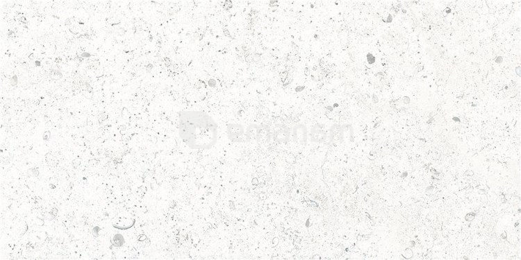 კერამოგრანიტი Vitacer Coralrock Pearl 600x1200 მმ