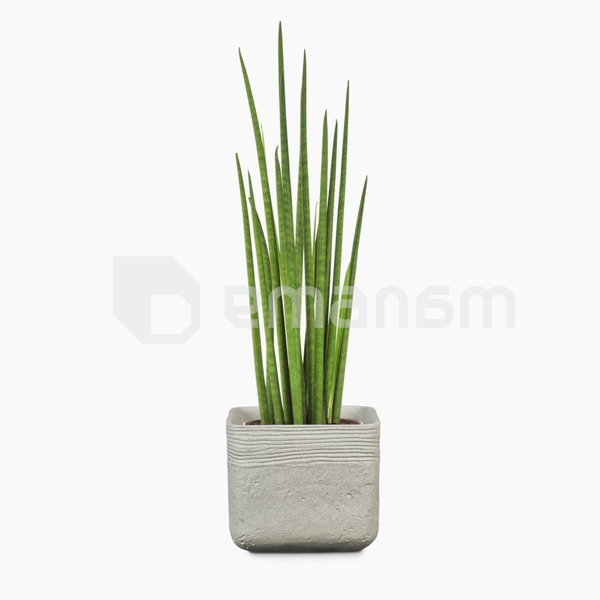 ქოთანი კერამიკული ყვავილის Scheurich 989/20 COVER-POT WASHED STONE
