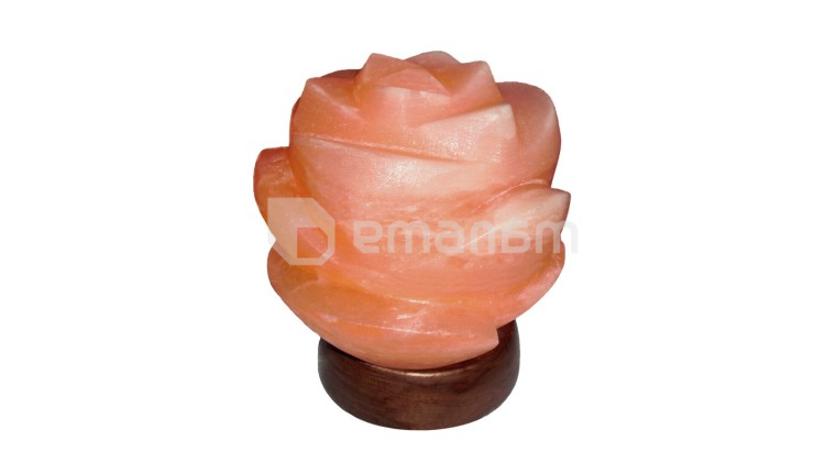 სანათი მარილოვანი + ნათურა Rabalux Flores 2676 E14 1x MAX 15W