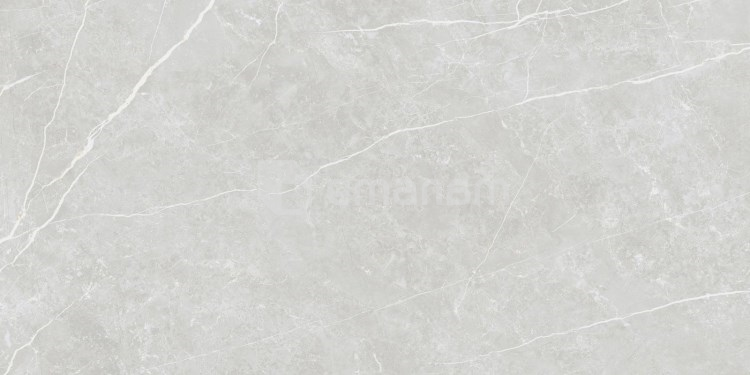კერამოგრანიტი Tau Ceramica Elite Silver 600x1200 მმ