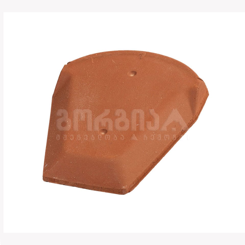 კრამიტის კეხის შუბლი წითელი  (isiklar)