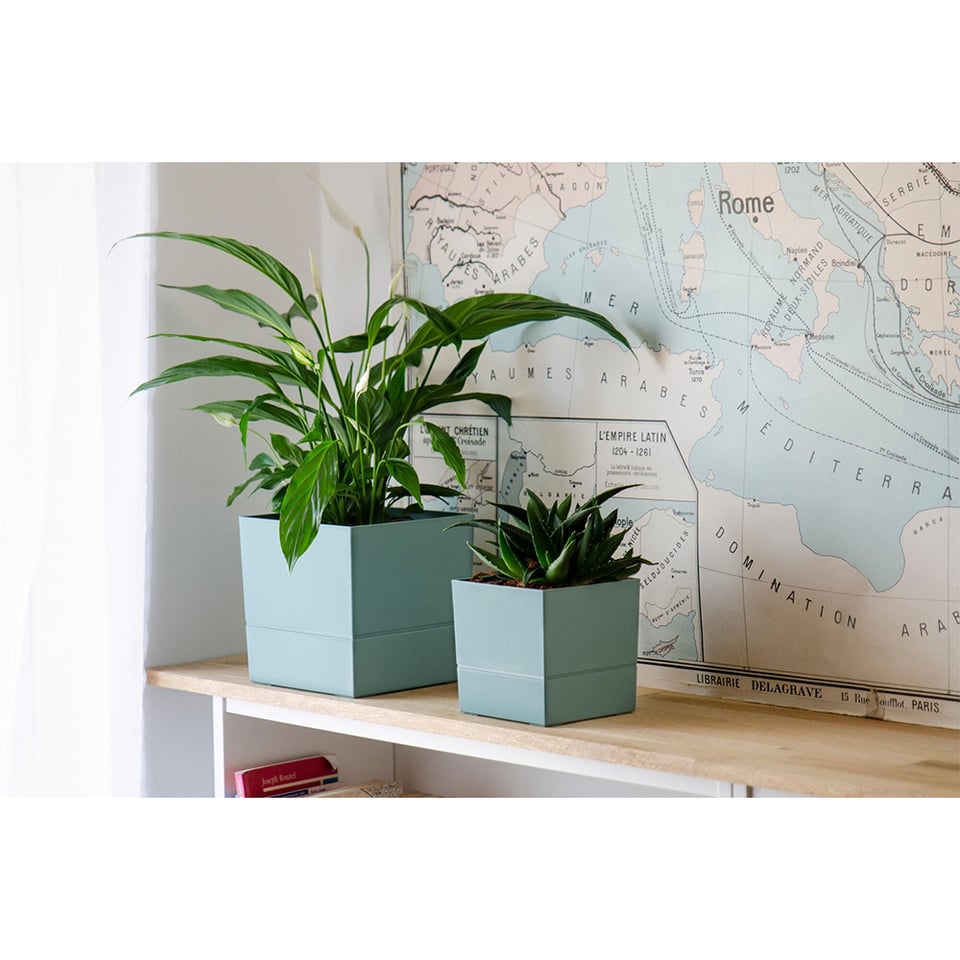 ქოთანი პლასტმასის 4.5 ლ