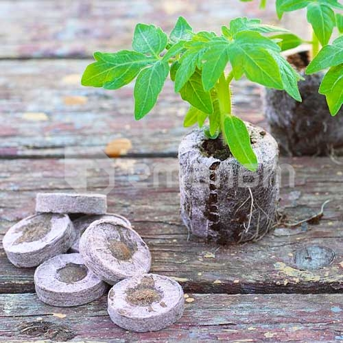 ტროფის ტაბლეტი ბადეში (d 42мм, 10ც)