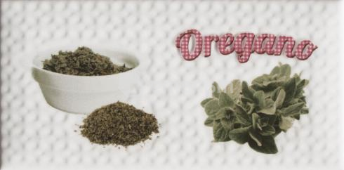 დეკორი Modern Oregano 10x20