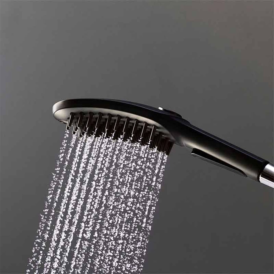 საშხაპე ყურმილი ძაღლებისათვის Hansgrohe 26640670