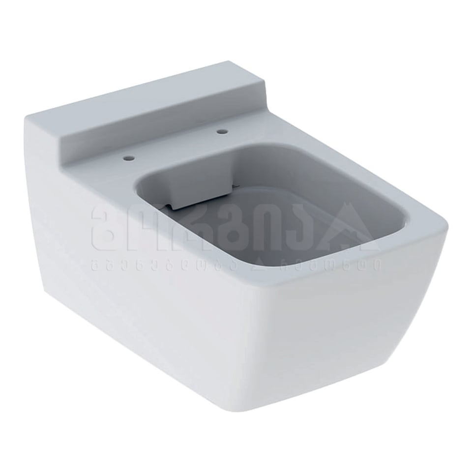 შეკიდული უნიტაზი Xeno2 500.500.01.1 Rimfree (500.537.01.1)