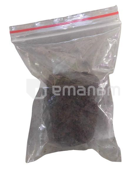 საჩითილე ტორფის ღრუბელი 5 სმ