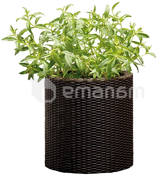 პლასტმასის ქოთანი ყვავილებისთვის Keter Cylinder Planter S 7 ლ