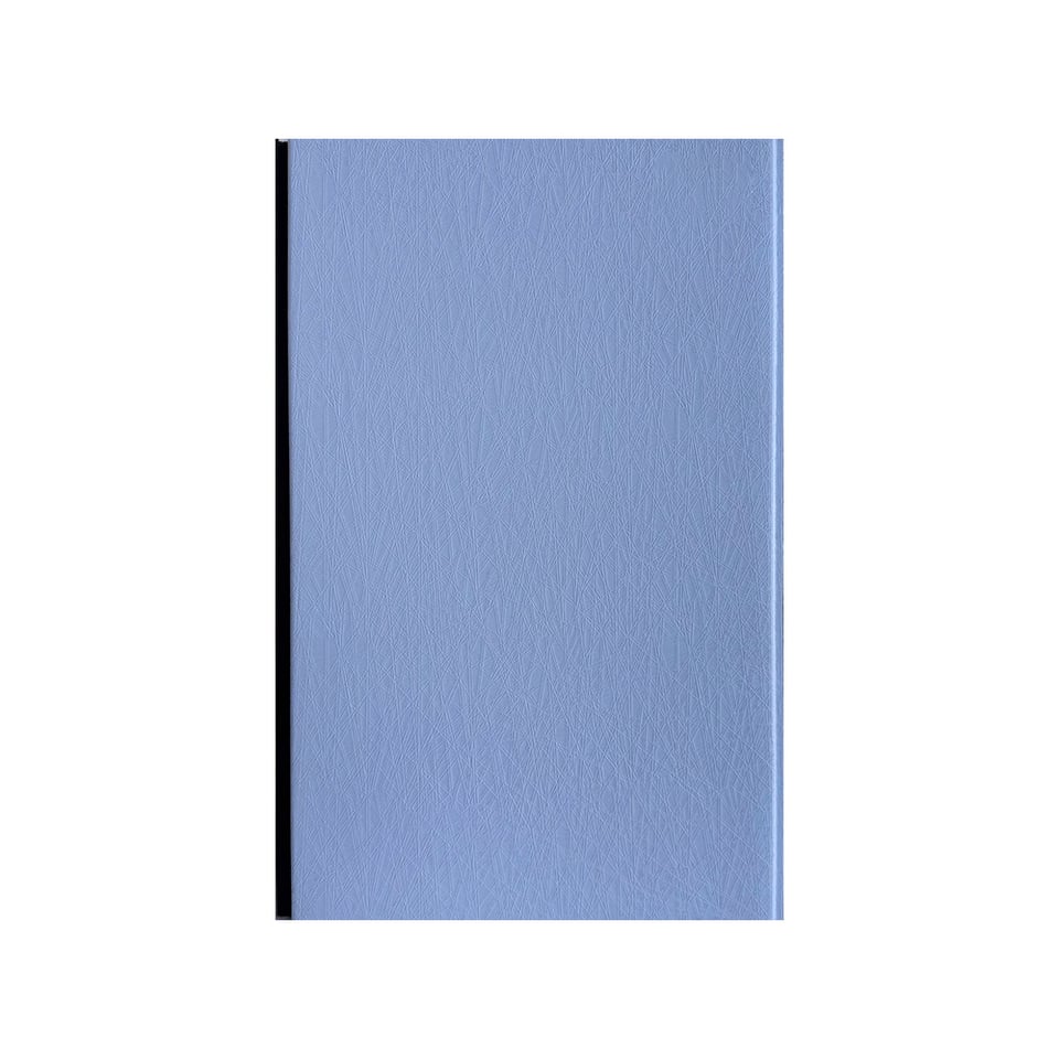EuroPlast შეკიდული ჭერი 250*3000*7mm MX1-1
