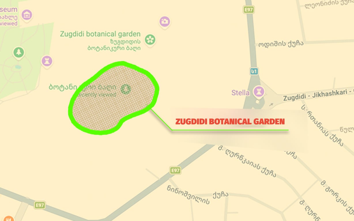 Greening of the Zugdidi Botanical Garden