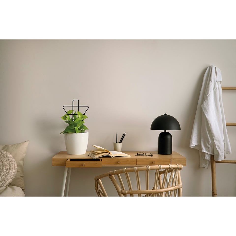 მცენარის საყრდენი Lamela Geometric plant supports - black H-45