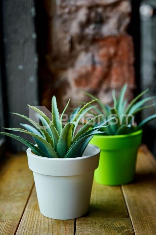 პლასტმასის ქოთანი Aleana Gamma 32x27სმ თეთრი ვარდი 12 L