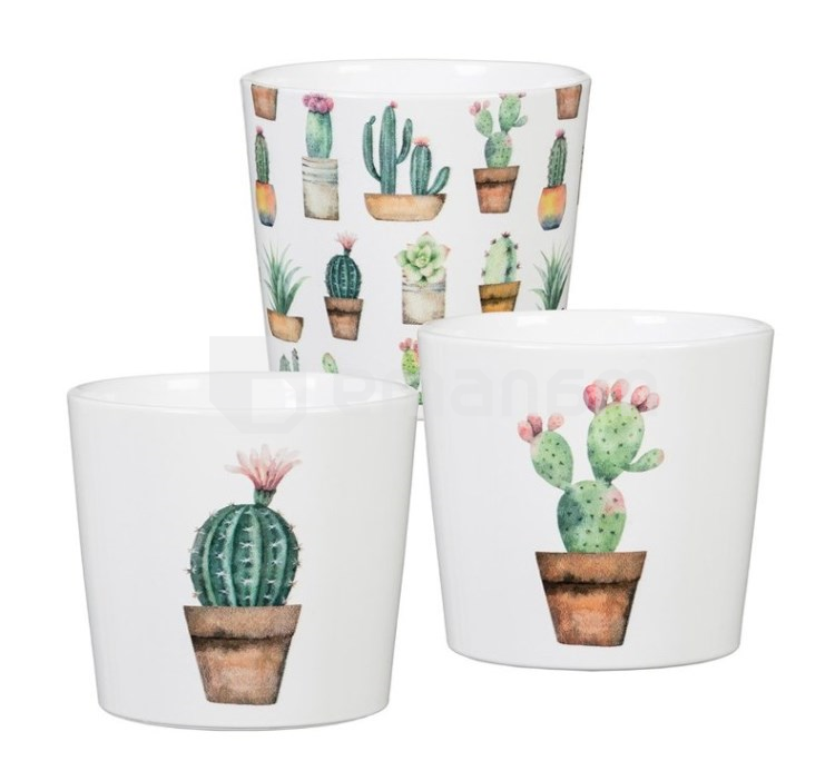 კერამიკული ქოთანი ყვავილებისთვის Scheurich 870/09 COVER-POT CACTUS GARDEN