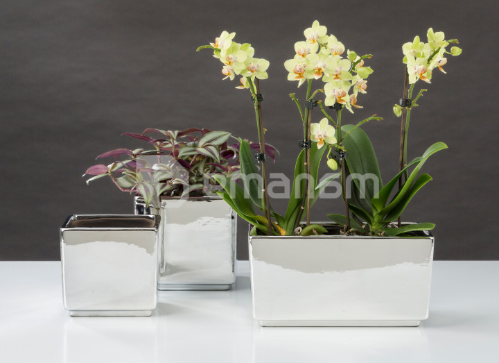 კერამიკული ქოთანი ყვავილებისთვის Scheurich 994/18 COVER-POT 4T.MIRROR SILVER