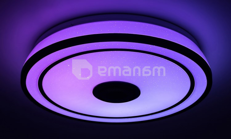 ჭერის სანათი Rabalux Nikolaus 24W 3000 6500K Ø395 H90მმ შავი თეთრი 71030