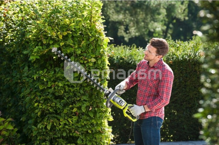 ბუჩქის საკრეჭი Ryobi RHT8165RL 800W