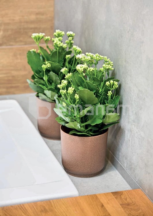 ქოთანი ყვავავილის FORM-PLASTIC Satina Eco 15 ნატურალური ხა (4381-078)