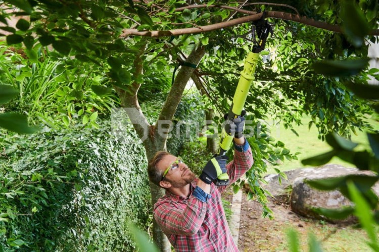 სეკატორი აკუმულატორის Ryobi ONE+ OLP1832BX 32 მმ 18V