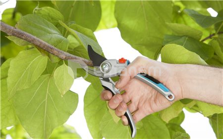 სეკატორი Gardena B/L 8906-20 25 მმ