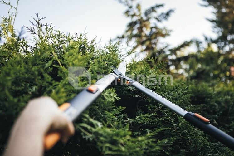 ბუჩქსაკრეჭი ტელესკოპიური Fiskars SmartFit HS86
