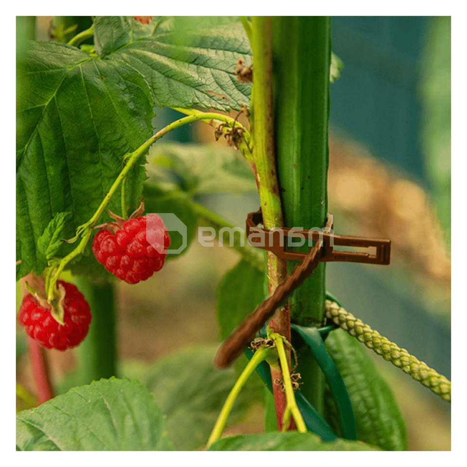 მცენარეების სამაგრი ლენტი ყავისფერი Bradas 170/5,4მმ  50 ც