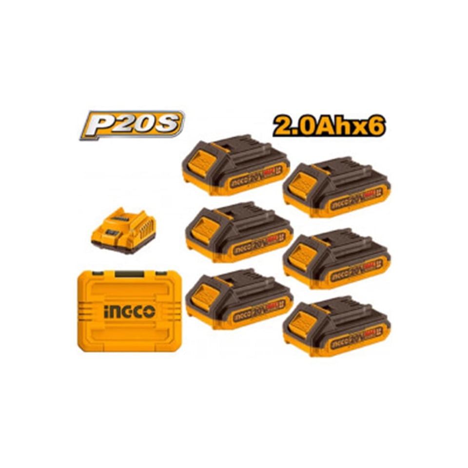 სწრაფი დამტენისა და ელემენტების კომპლექტი 6ც-ნი 2Ah-20W  Li-Ion Proline (FBCLI20611)