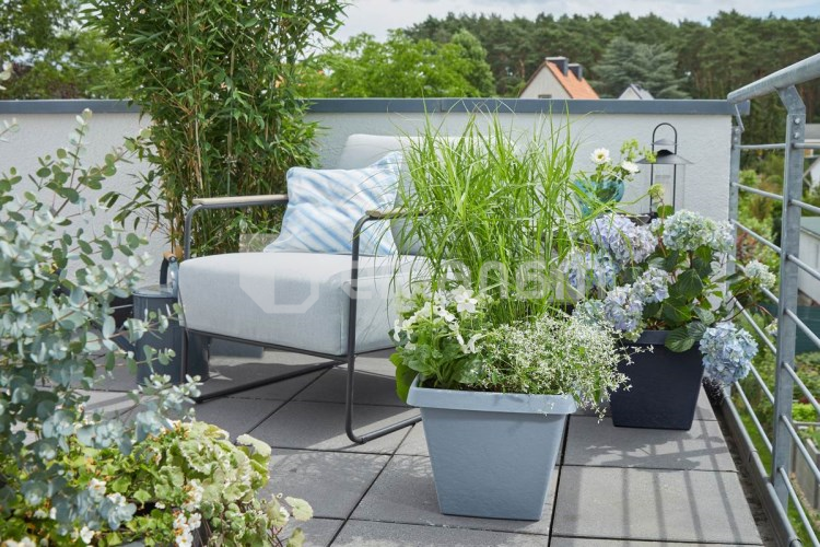 ქოთანი ყვავილის პლასტმასი ეზოს Scheurich 266/30 GROOVE+ CONCRETE