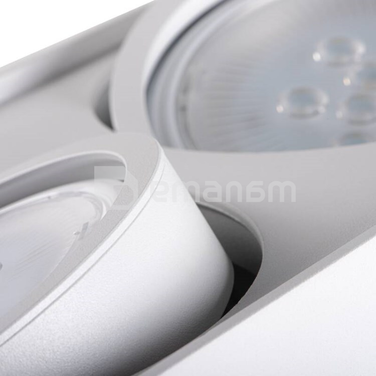 სანათი წერტილოვანი მბრუნავი Kanlux TUBEO ES 250-W GU10 2x MAX 25W