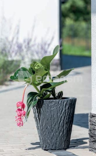 ქოთანი ყვავილის Form-Plastic Kora 30 anthracite