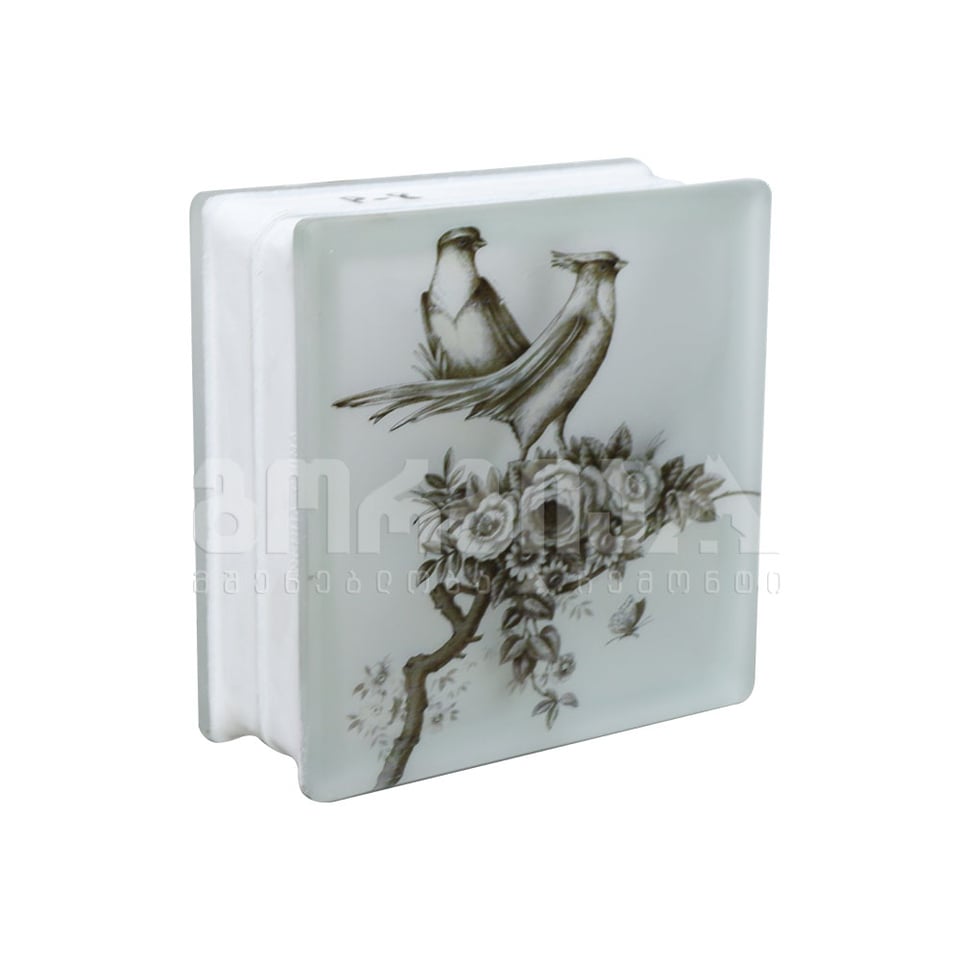 მინა ბლოკი P-8 ჩიტი