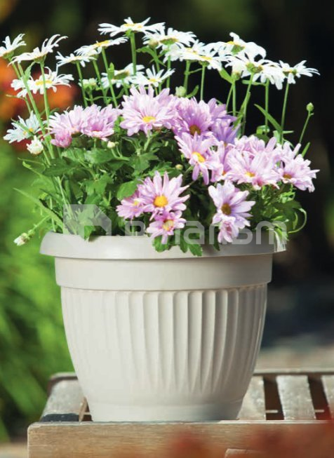 პლასტმასის ქოთანი FORM PLASTIC Dona 0170-051 Ø40 მუქი ნაცრისფერი