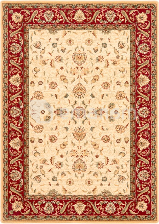 ხალიჩა Dywilan OMEGA ARIES JASNY RUBIN 2300 cC2 200x300 100% WOOL