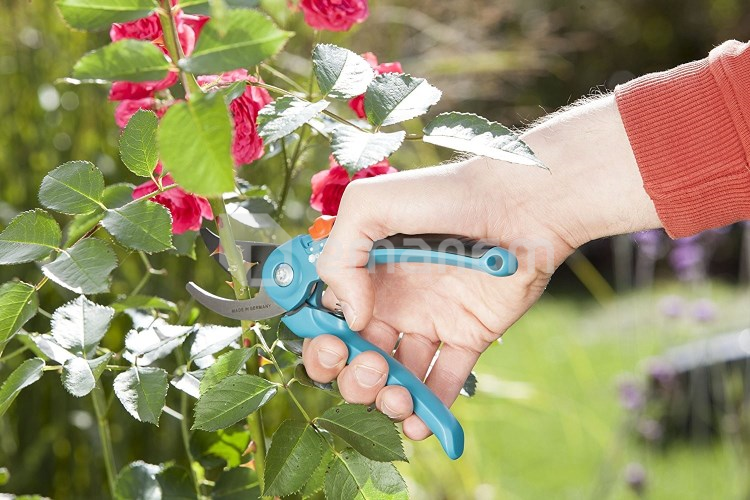 სეკატორი Gardena Classic B/S-M 8857-20