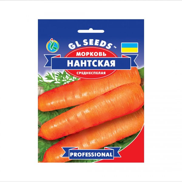 სტაფილოს თესლი "GL Seeds" (20 გ.)