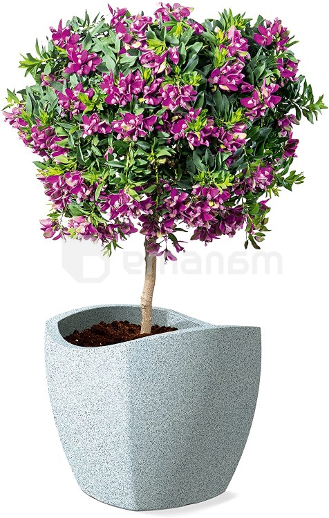 ქოთანი ყვავილის პლასტმასი Scheurich STONY GREY 40/256 WAVE GLOBE CUBO