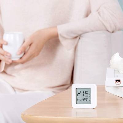 ტემპერატურის საზომი / Xiaomi Mi Temperature and Humidity Monitor 2 (LYWSD03MMC) / NUN4126GL