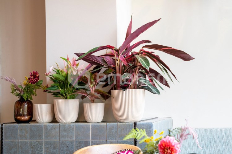 ქოთანი ყვავილის Capi Europe Planter Ball Groove sawdust 21,5x20სმ