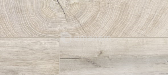 ლამინატი Kaindl NT მუხა Fresco Leave 1383x159x10 AC4/32