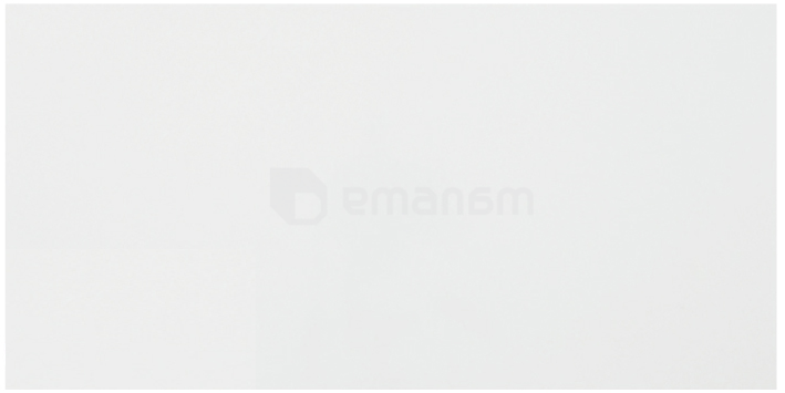 კაფელი Practika Blanco Brillo RVTO 200x600 მმ