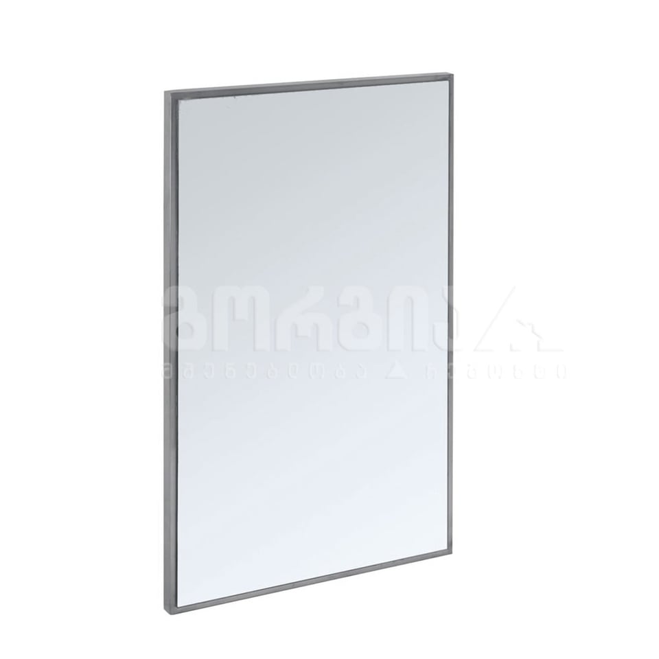 სარკე  HANDICAPPED TB500