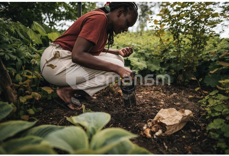 ბოლქვის სარგავი ხელსაწყო Fiskars Solid 1057079