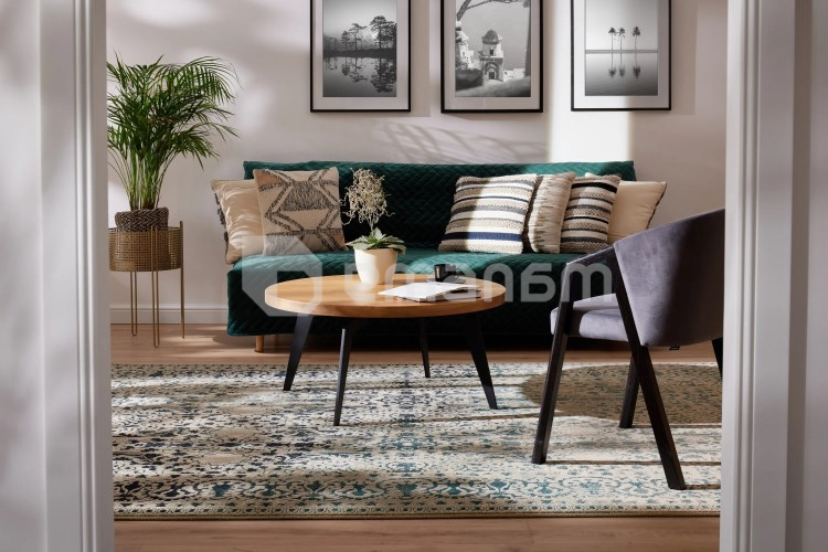 ხალიჩა Dywilan OMEGA PERONA IRON 2504 cC1 170x235 100% WOOL