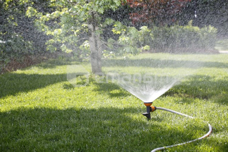 სარწყავი პალოზე GF GF80043619