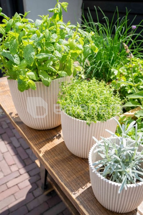 ქოთანი ყვავილის Capi Europe Planter Ball Groove sawdust 21,5x20სმ