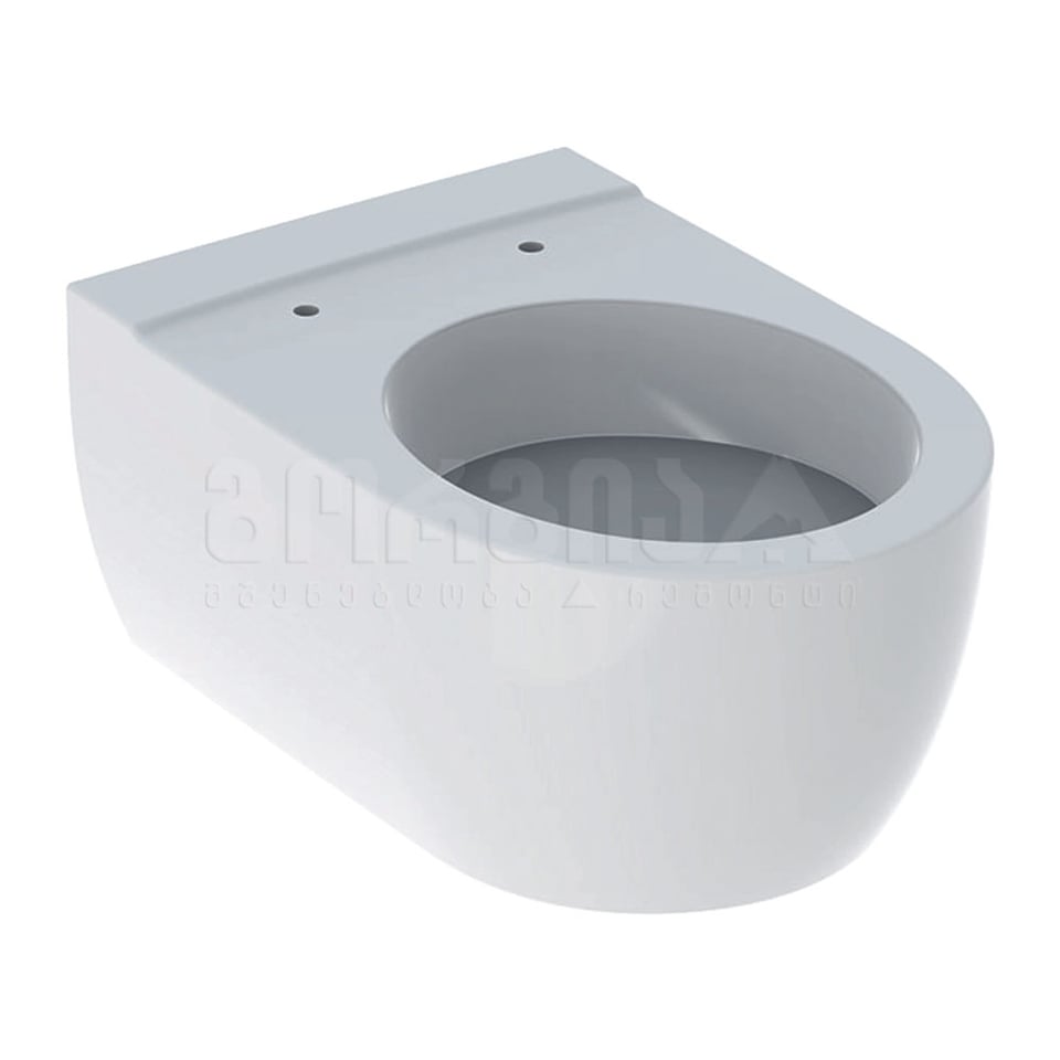შეკიდული უნიტაზი  Icon 500.431.01.1